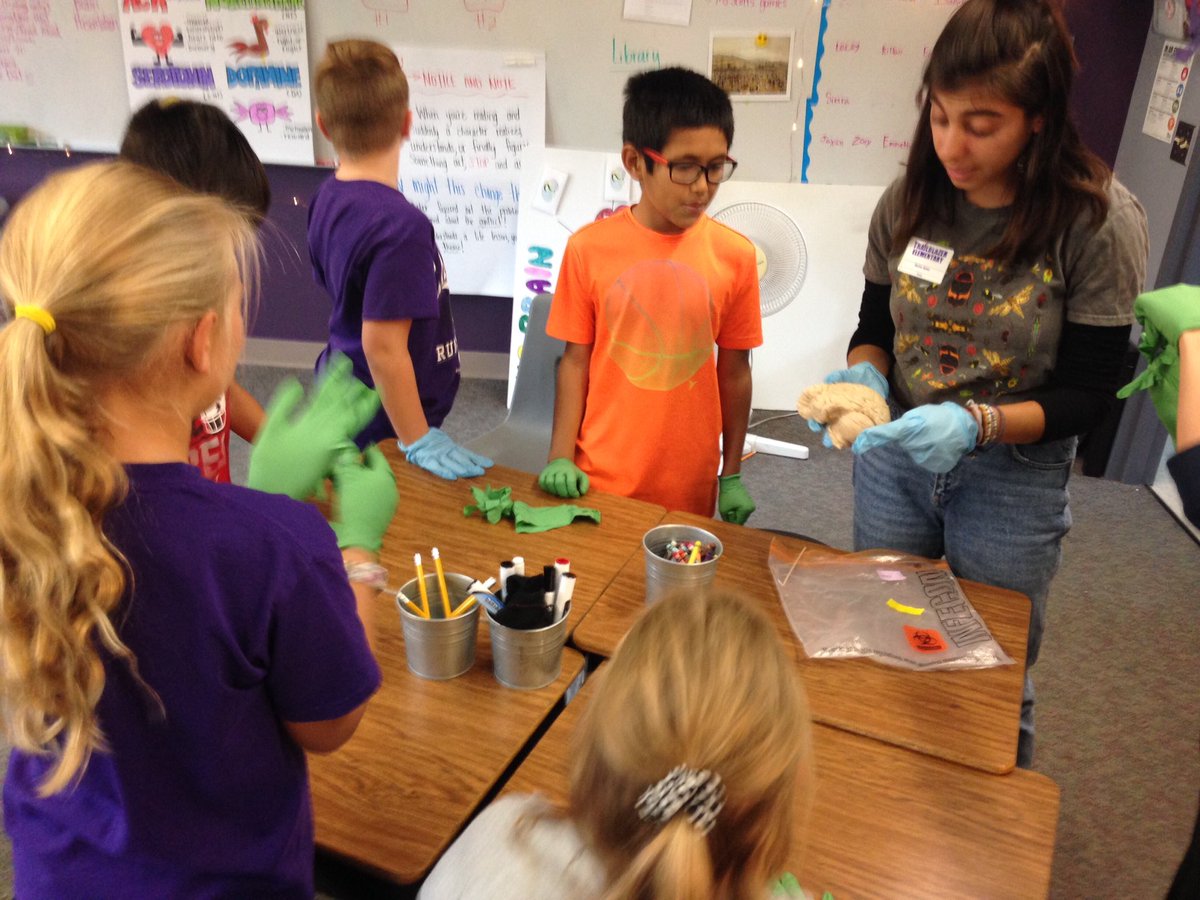 KenPfeil1's tweet photo. Students @TrailblazerD11 getting brainy (with real brains).  Thank you for the learning, Colorado College! https://t.co/3gDkejd6Fw