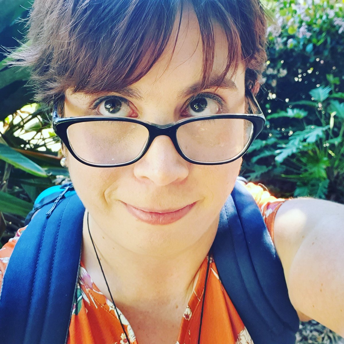 Tactical_Elf's tweet photo. 360 photography apparently involves a lot of climbing into bushes.

#projectday3 #noblindspot #letmejusthide https://t.co/orFMxRHOwH