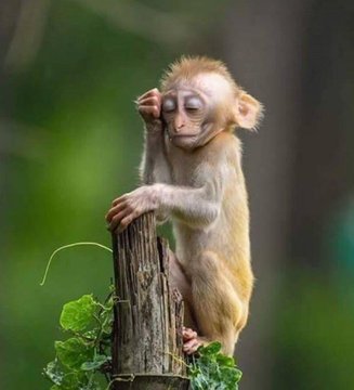 f4fifback's tweet image. I pray for your
OCTOBER to be filled with blessings
OCTOBER to be filled with blessings
OCTOBER to be filled with blessings
OCTOBER to be filled with blessings
OCTOBER to be filled with blessings
Like😃 #ifb