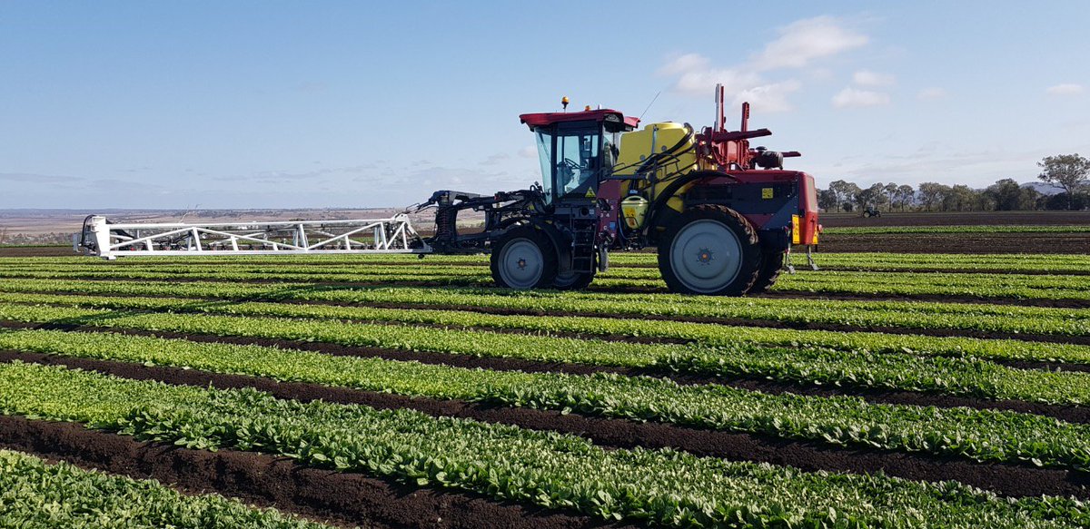 HARDI_Australia's tweet photo. We are at the install of #HardiHellios in #Cambooya. The proud owner is Geoffrey Story, from Story Fresh - a family owned, eco-friendly vegetable farm. Geoff chose the #Hellios for its light weight, unmatched traction, superb view & ActivAir nozzle re-circulation.
#HardiWorksHere https://t.co/VuAqZU5nr0