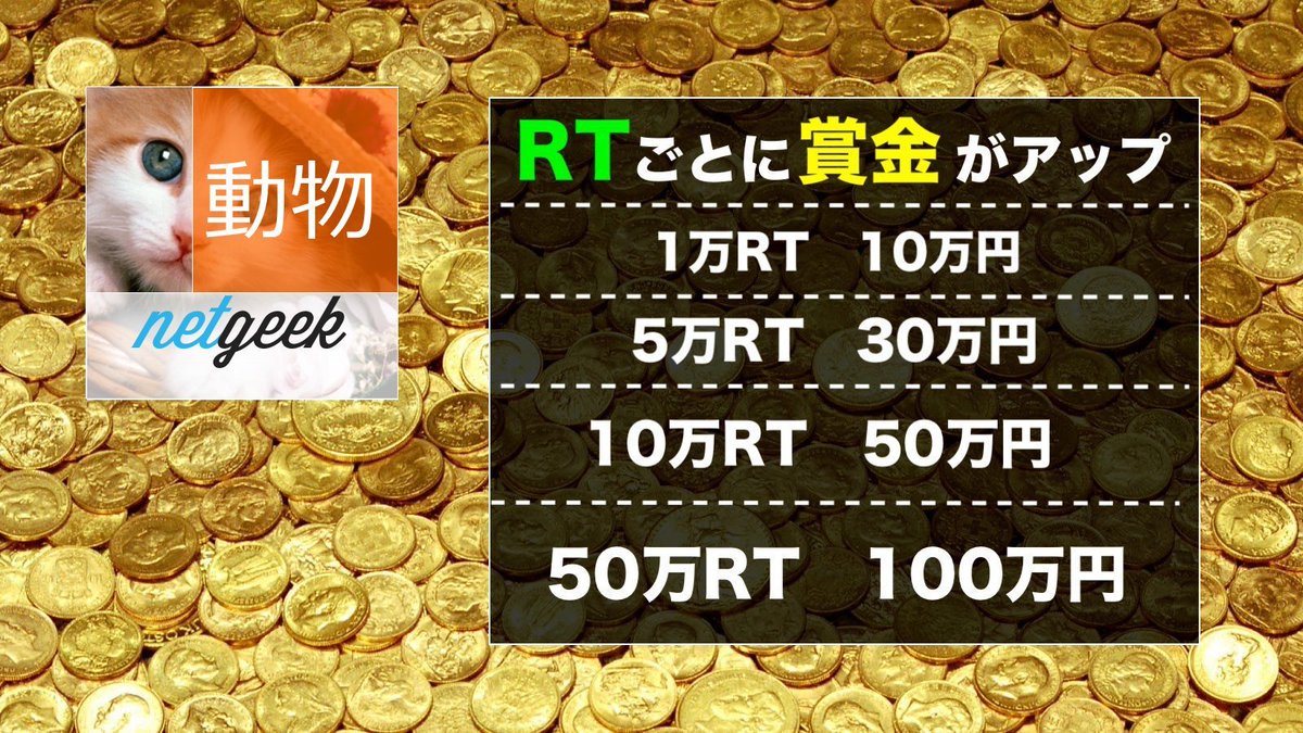 netgeekAnimal's tweet photo. 最大100万円を10名様にプレゼントします🎉

【応募方法】
①@netgeekAnimal、@netgeek_media、@netgeekOogiriを全てフォロー
②この投稿をリツイート

締切は11月2日23:59。当選者にはDMでお知らせし銀行口座に振り込みます‼️

#懸賞 #プレゼント #キャンペーン #応募 https://t.co/ofuKEELGi1