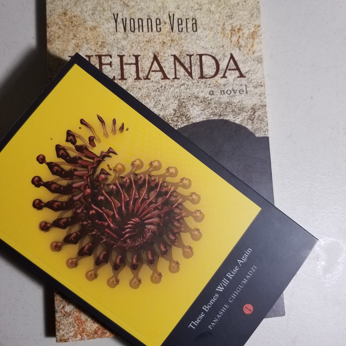 TenziMavima's tweet photo. Continuing my #Nehanda themed binge with these two. Done with Vera's- what a treat. A few chapters into #TheseBones..aiwa sahwira @PanasheChig , munonyora zvenyu! Good stuff https://t.co/NaD0qR2cwh