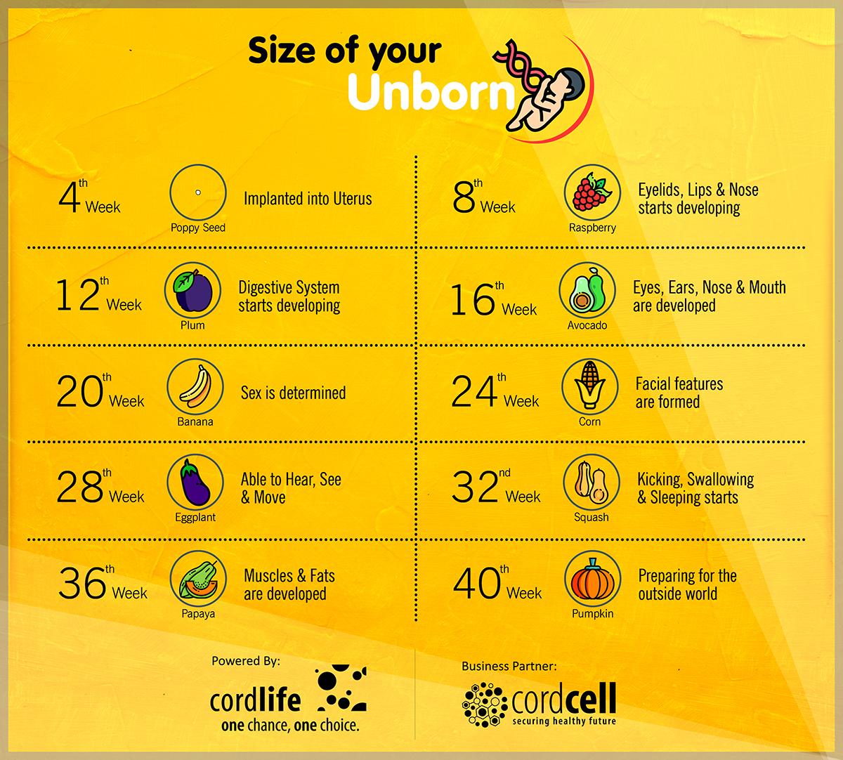 Cordlife India Cordlife India Twitter Cordlife India Cordlife India Twitter