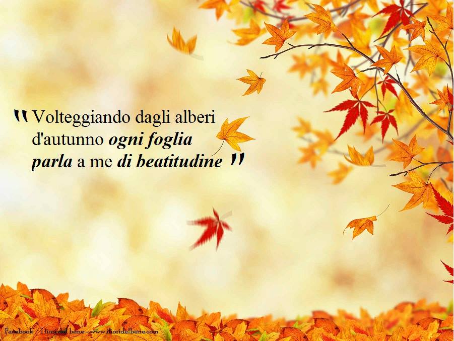 Ifioridelbene Com En Twitter Volteggiando Dagli Alberi D Autunno Ogni Foglia Parla A Me Di Beatitudine Cit Citazione Foglie Autunno Emilybronte Citazioni Frase Frasi Quote Quotes Citazionedelgiorno Frasedelgiorno Frasedellasera