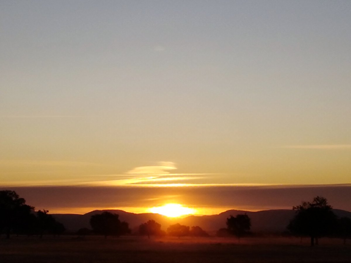 Amanece en el Serengueti español. Fabuloso. #TurismoMeteoNatura #CLMesmuchomas #Cabañeros