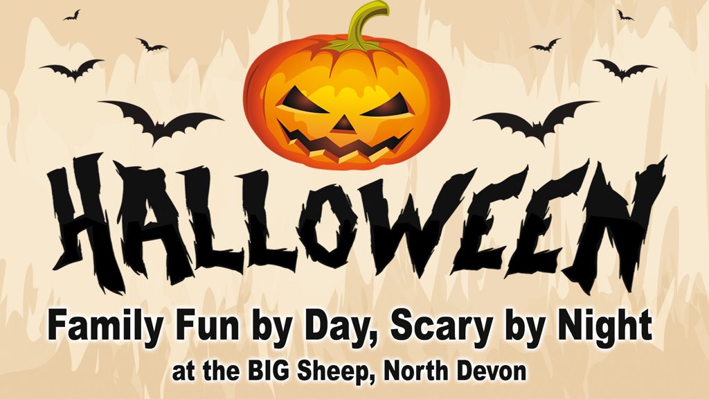 The BIG Sheep tweet media