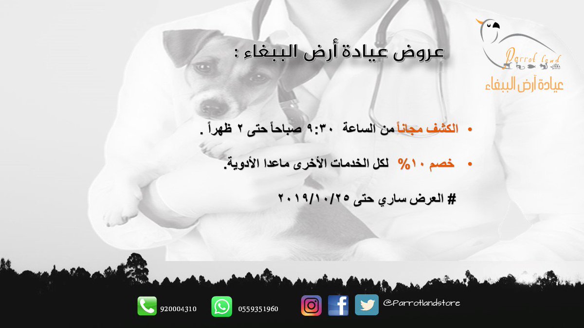 متجر أرض الببغاء Parrotlandstore Twitter