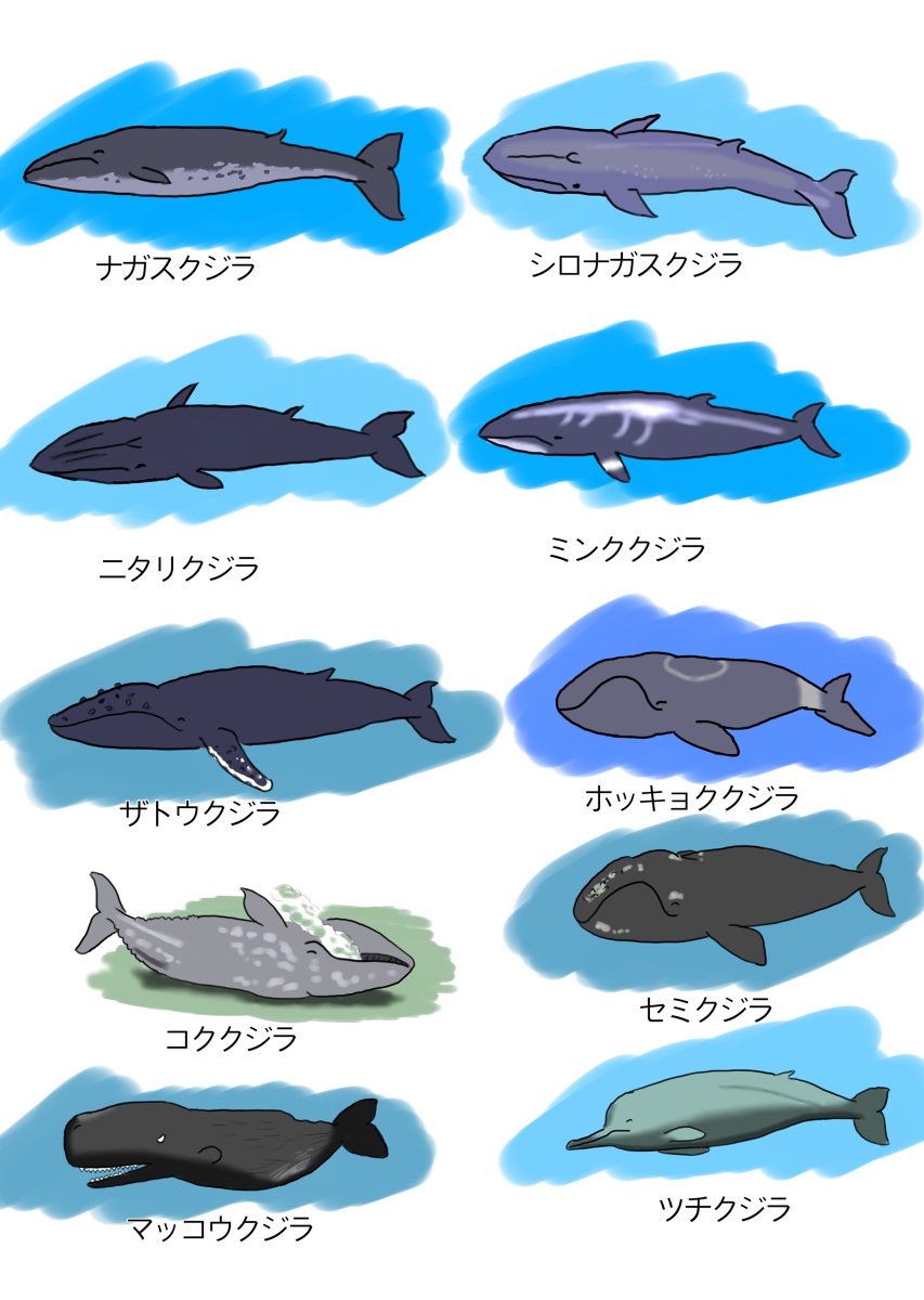 Twoucan 海獣 の注目ツイート イラスト マンガ コスプレ モデル