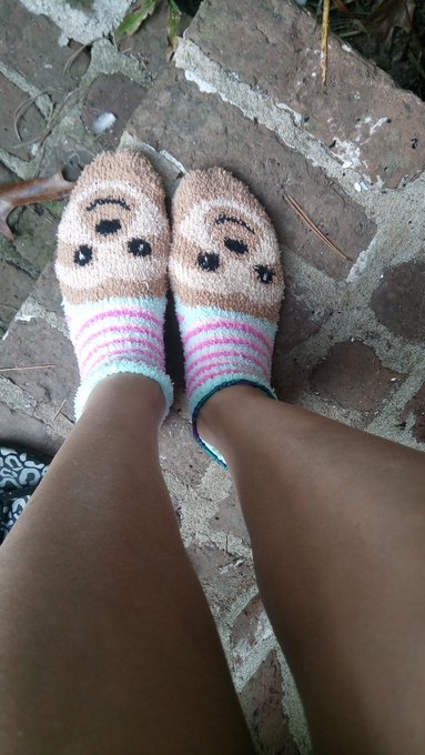 Just my cute new sloth socks I thought I'd share I bought them for field trip Friday but I couldn't wait