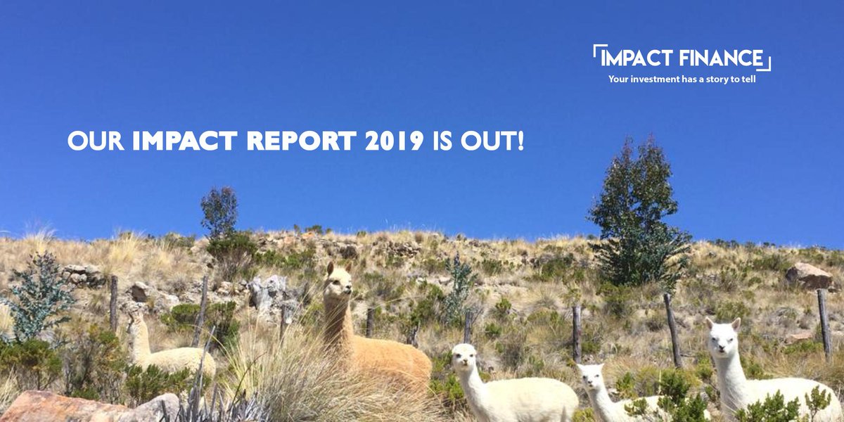 Our latest #ImpactReport is out! Explore #impact data &amp; analysis of our investment activity as well as new features regarding our theory of change, our approach of the risk and on the role of women in #agricultural #valuechains:
impact-finance.com/useruploads/do…

#GIINForum19 #impinv