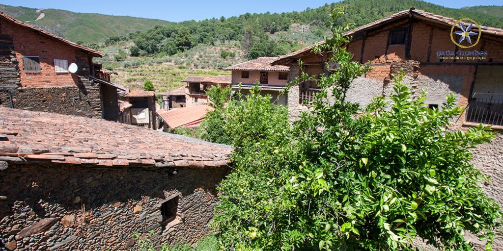 DOPGataHurdes's tweet image. 💫Ayer fue el #DíadelosPueblosMásBonitosdeEspaña. Para celebrarlo, compartimos contigo este precioso paraje situado en #RobledillodeGata, en la provincia de #Cáceres. ¡Uno de los #pueblos que conforman la esencia de la #DOPGataHurdes!
#aove #evoo #Extremadura