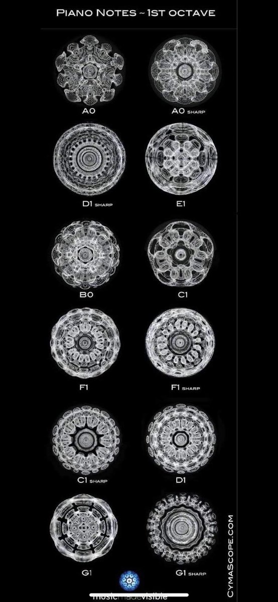 Photos of water patterns responding to different notes