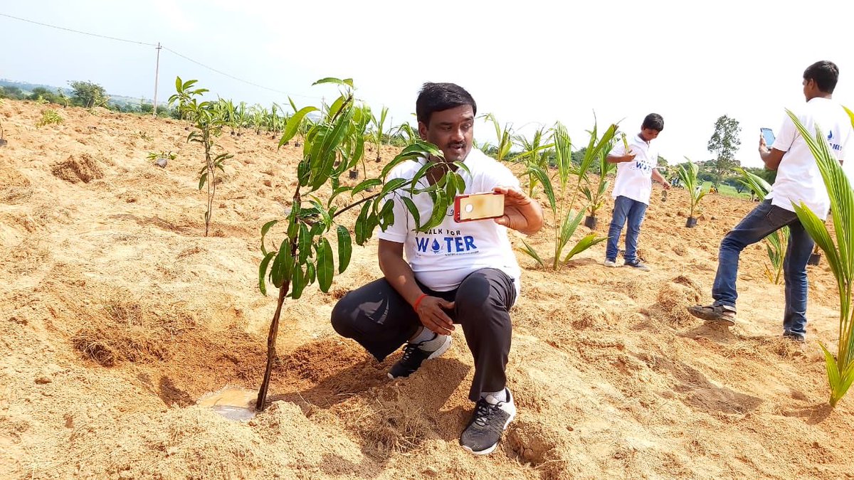 kkrmardi's tweet photo. Live as if you were to die tomorrow. Learn as if you were to live forever.Tribute to Mahatma with 15,000 saplings 🌱🌴🌳#HaraHaiTohBharaHai #GreenIndiaChallenge  @MPsantoshtrs @narendramodi @rashtrapatibhvn @VPSecretariat @satyakumar_y @JPNadda @PrakashJavdekar @JalShaktiAbhyan https://t.co/lBnTksH7zY