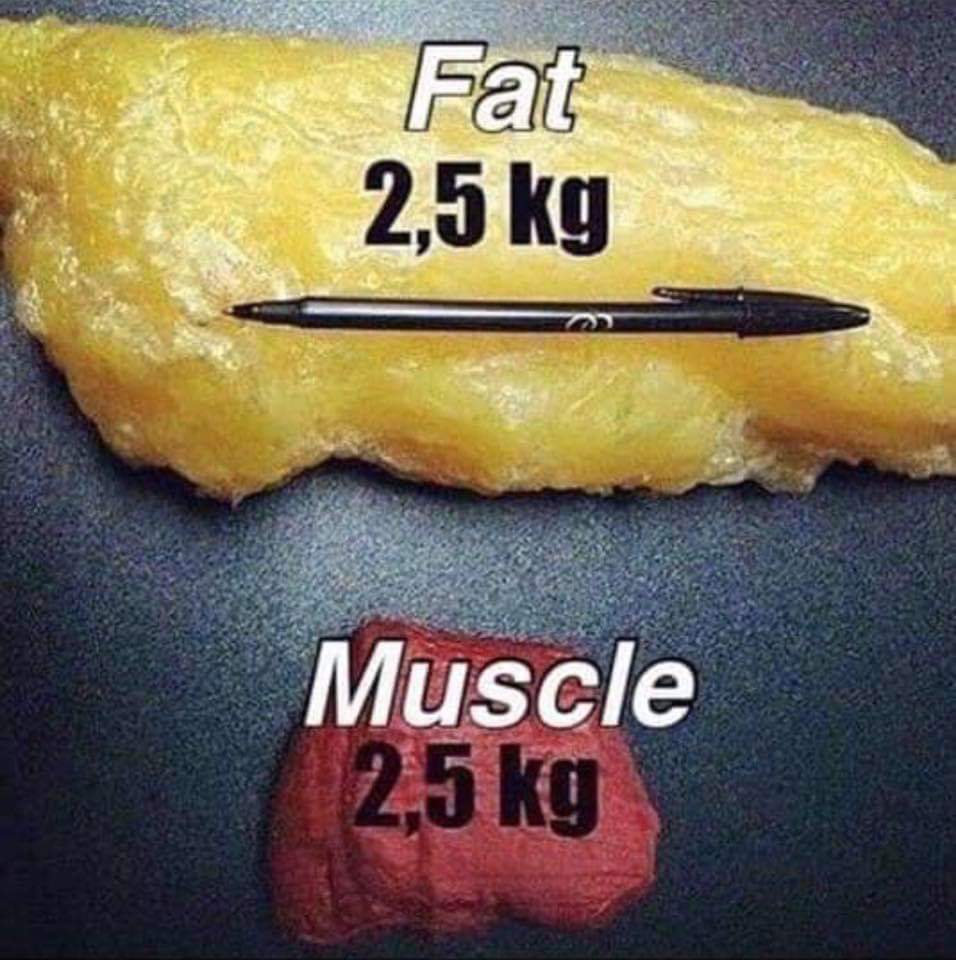 CoreVueKiosk's tweet photo. As well as other key indicators, our health kiosk will measure the amount of fat you’re storing around your vital organs (#VisceralFat) and also your #musclemass!
#corevue #visceralfat #musclemass #fat #fatstorage #gymtime #fitness #fitfam #keepfit #fatloss #motivation #BMI https://t.co/rmreN6k3Ha