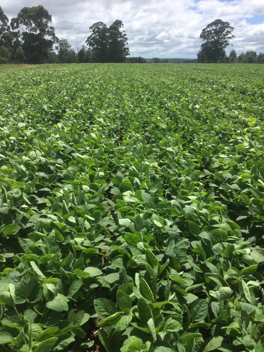 NationalCoGTA's tweet image. #cogta #communalfarming #landbouw