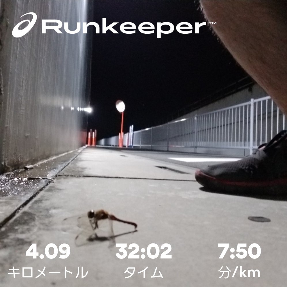 MActive_kurita's tweet photo. ひとやすみ。
#マラソン #ランニング #running #MActive #奥武蔵もろやま仰天マラソン https://t.co/hvnUF5Qkyf