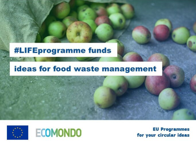 LIFE Programme tweet media