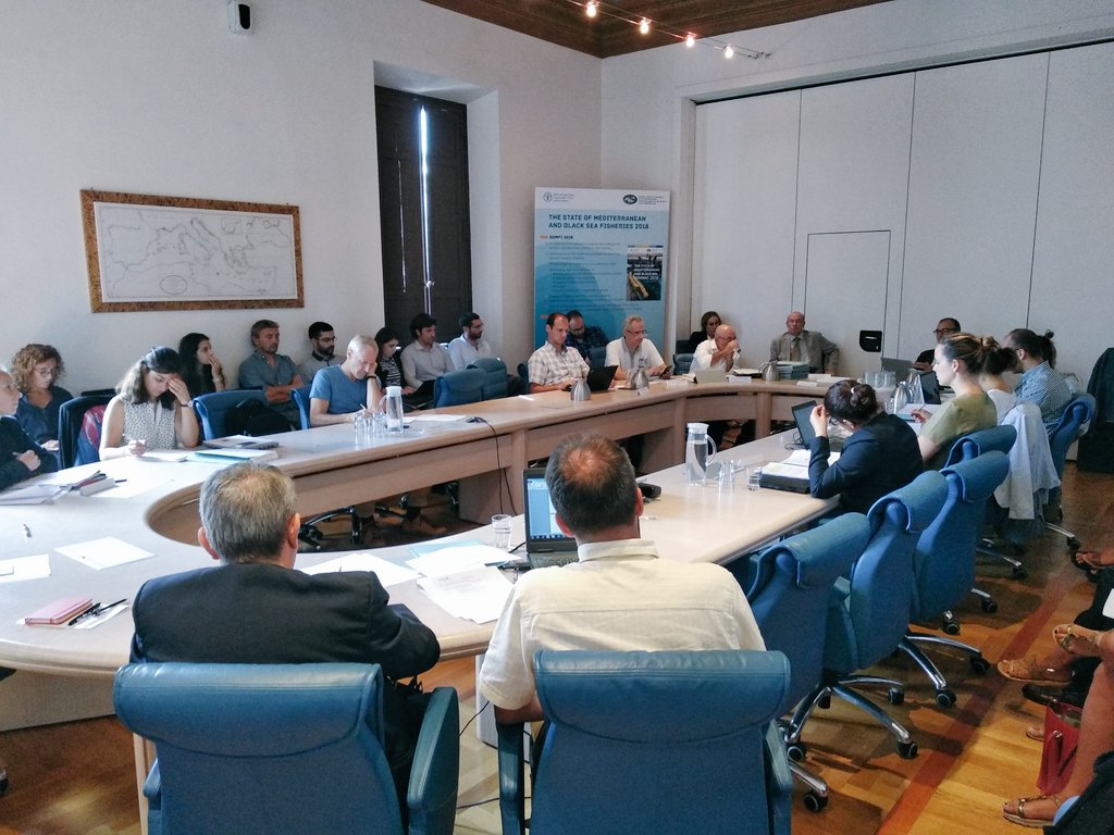 Federparchi's tweet photo. #FishMPABlue2 pescatori e Aree Marine Protette insieme per la #sostenibilità, a Roma i risultati del progetto Fish, cinque punti per condividere e cooperare Qui la news: https://t.co/BJIt2r2gJR https://t.co/Yem6Nf3BjM