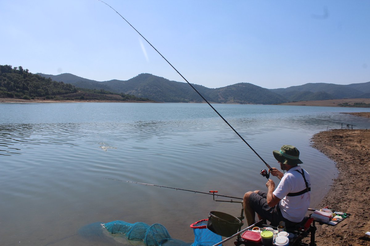 BaderSurfcaste's tweet photo. Du Soleil et du Bonheur ....#Team_LPA  #FEEDER #Pêche #Bader_Pêche #SKIKDA https://t.co/00apbbjDZe