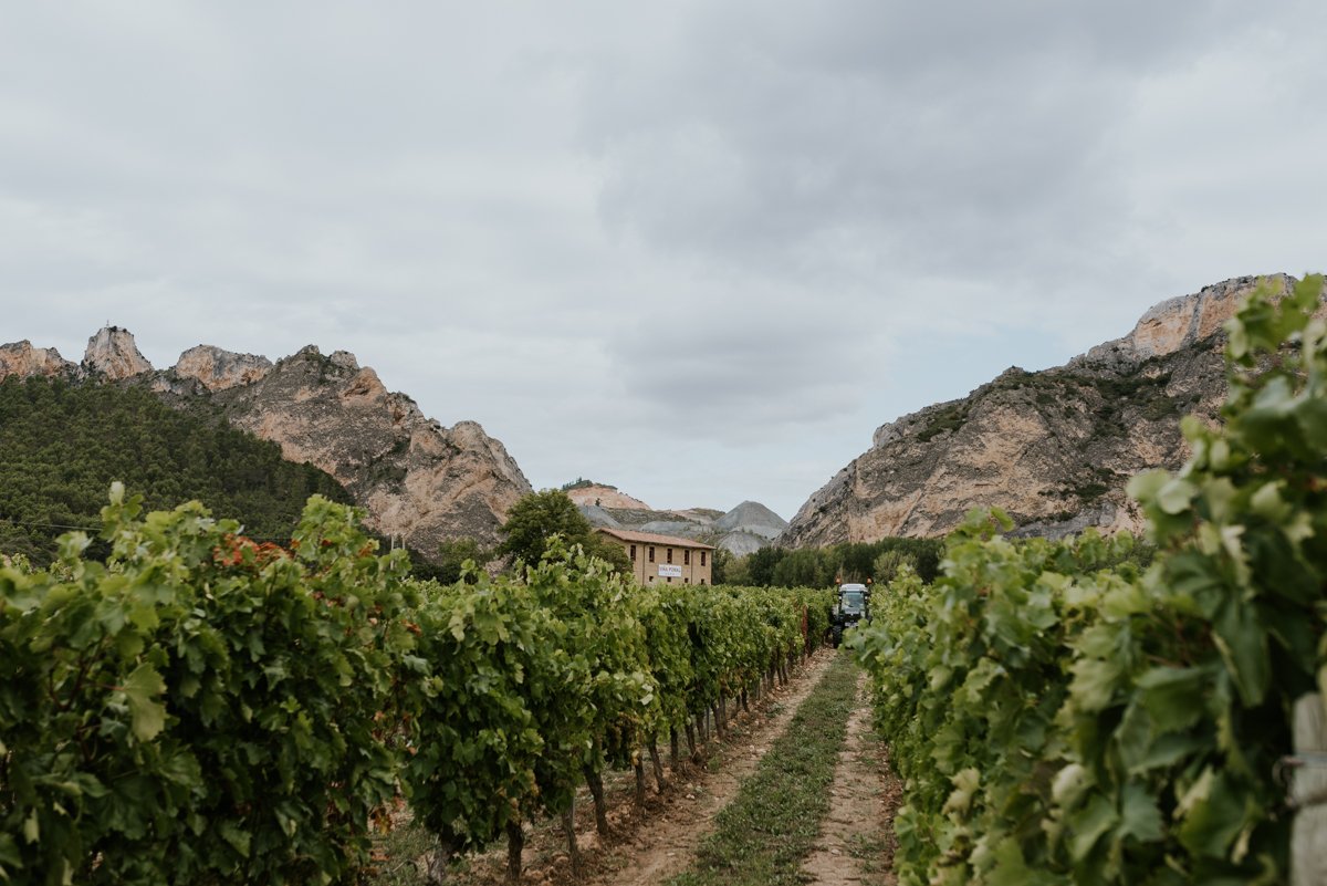 Viña Pomal tweet media