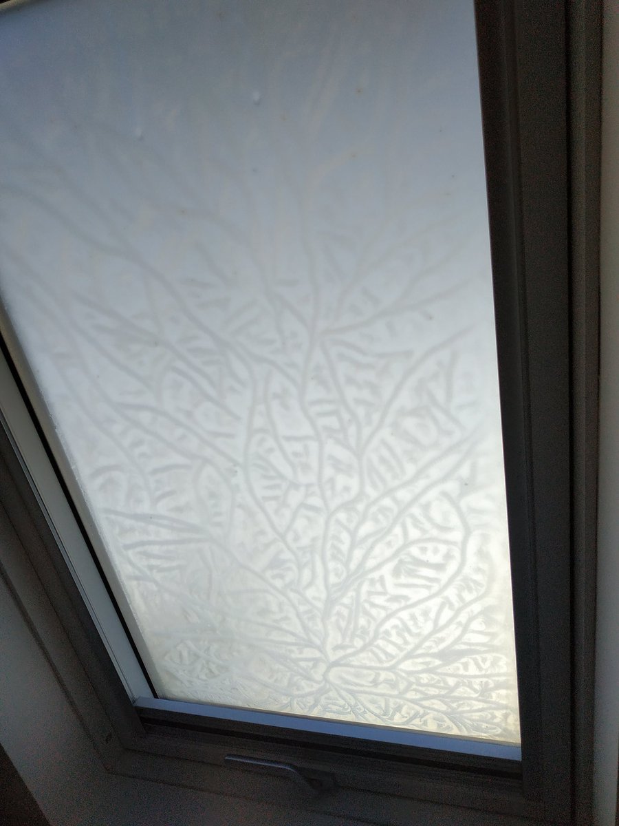 engineer_real's tweet photo. Nature is a great artist.
I pulled back the blinds on the Velux windows in my home office to see this beautiful sight.
#velux #goodinsulation #nature https://t.co/ej0SYypGpS