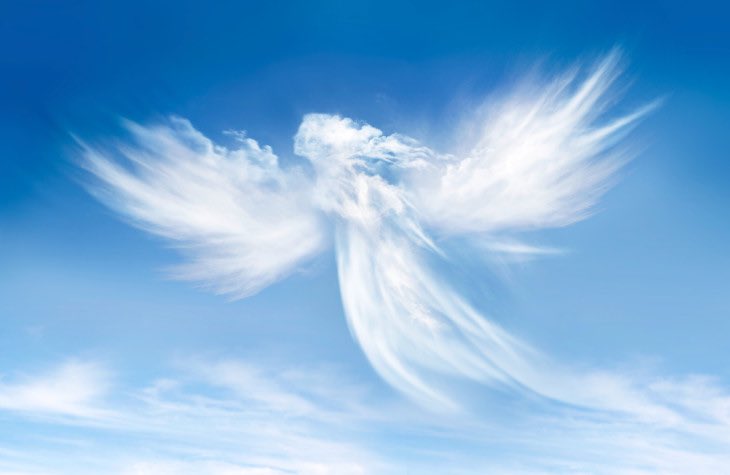 AngelesEscuela's tweet photo. Hoy el Arcángel Gabriel, el arcángel de la comunicación y la pureza, nos abre canal directo con nuestra espiritualidad, momento especial para pedir , hacer preguntas y recibir respuestas, yo me permito hoy conectarme con la esencia del arcángel Gabriel. #yosoyluz https://t.co/60IMzmCLuD