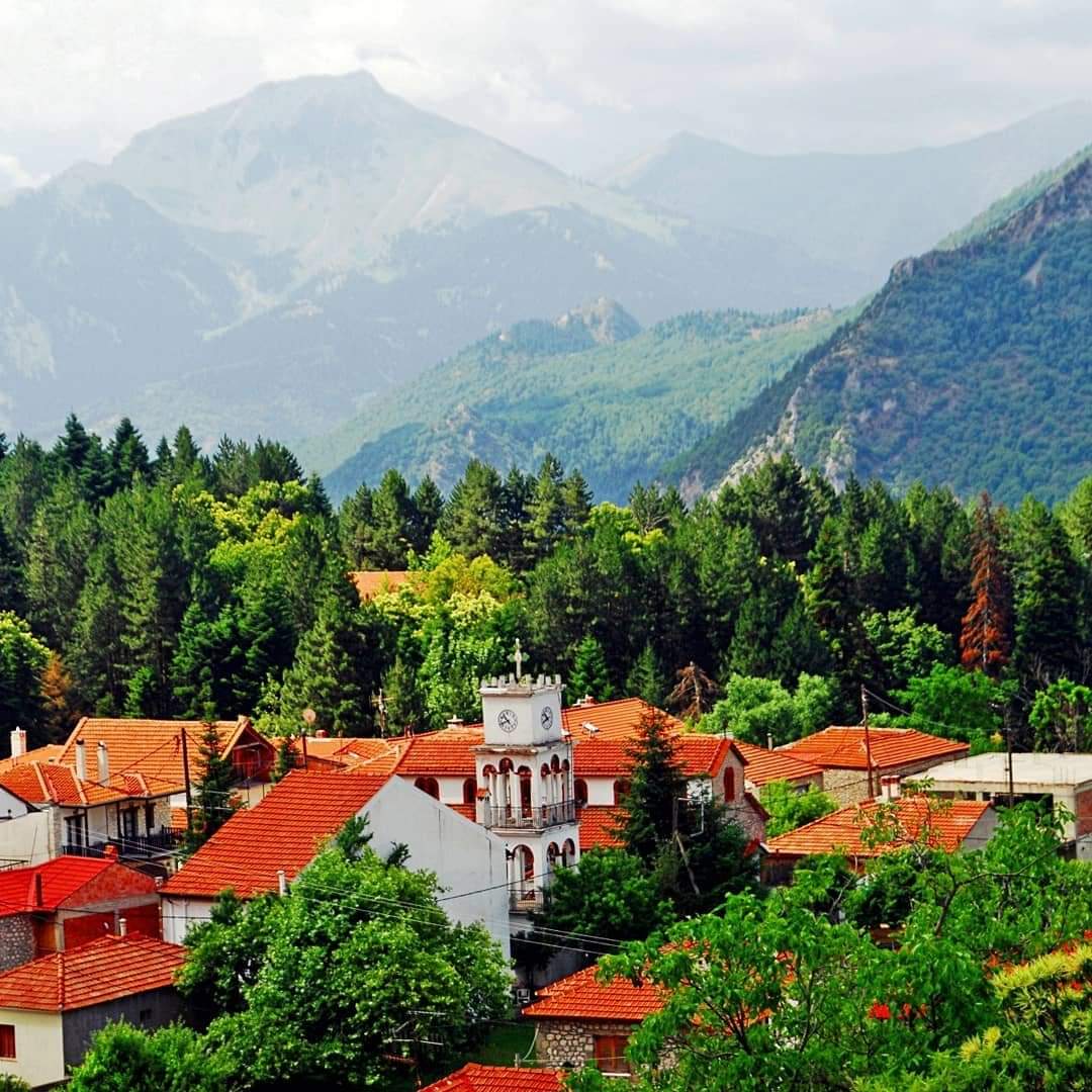 GreekPictures's tweet photo. #Elati village on south #Pindos mountain. The gorgeousness of the landscapes all around the village, the scrumptious traditional cuisine, combined with loads of snow in the winter and freshness in the summer, makes Elati a place no less attractive than any famous Alp destination. https://t.co/U1Xs9hCQHe