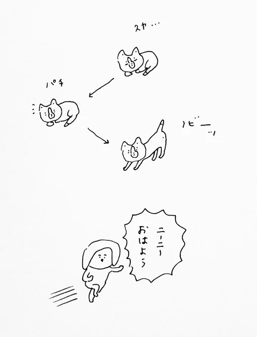 … 