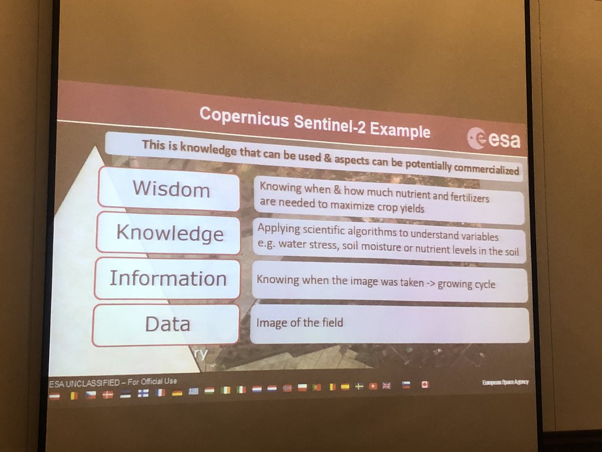 MA_Leinweber's tweet image. Data to Wisdom - the 🍅 set as an example for 🛰 #esaspacesolutions #spaceatcoimbra #downtearth