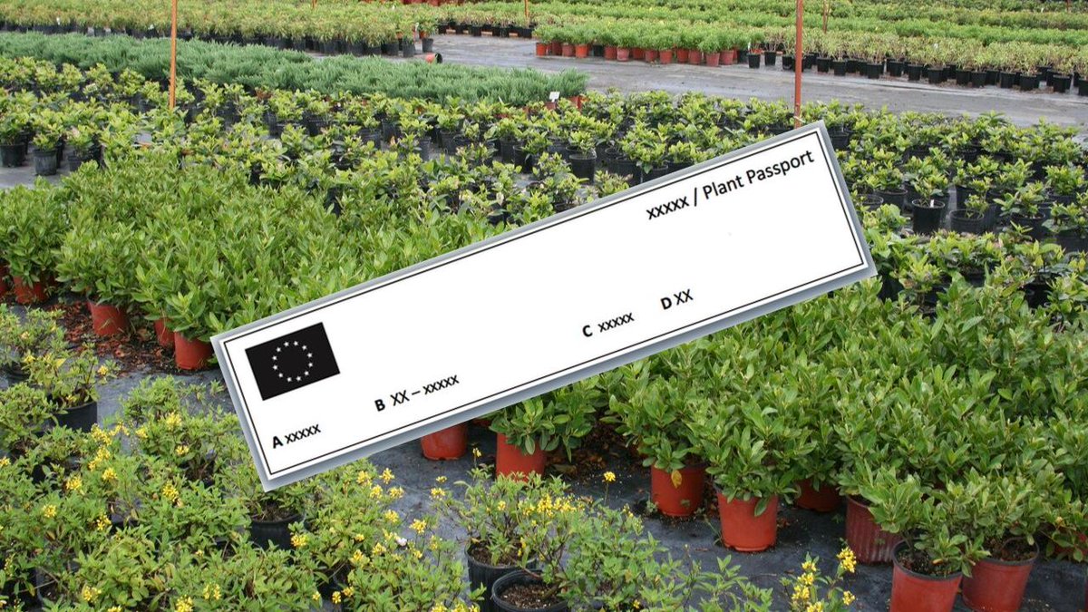 Plant passport