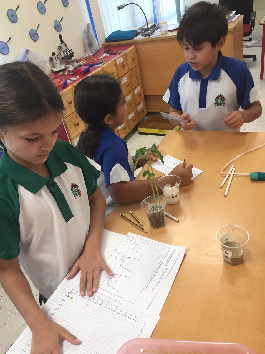 JPS_Year5's tweet photo. Science at JPS Year 5B are making measurements and observations on their plants. Do plants need soil to grow? #JPScience #JPSY5B https://t.co/RUfkwiZBQc