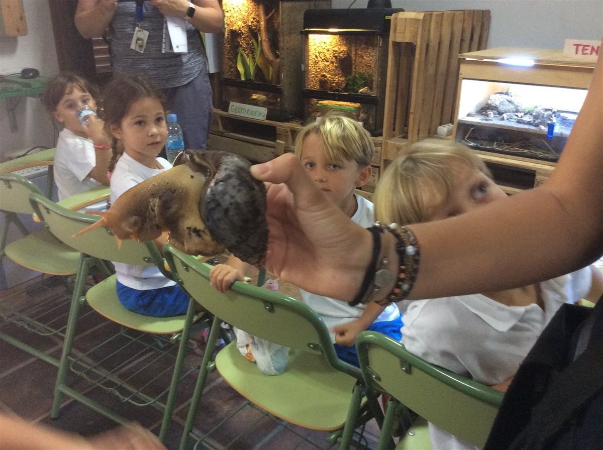 EICMarbella's tweet photo. KS1 had an amazing trip to Bioparc as part of our Carnival of the Animals topic. We saw a variety of animals, mainly from Africa, Asia and Australasia and learnt so much from both what we saw and our tour guides. https://t.co/fEqLdEgxxJ