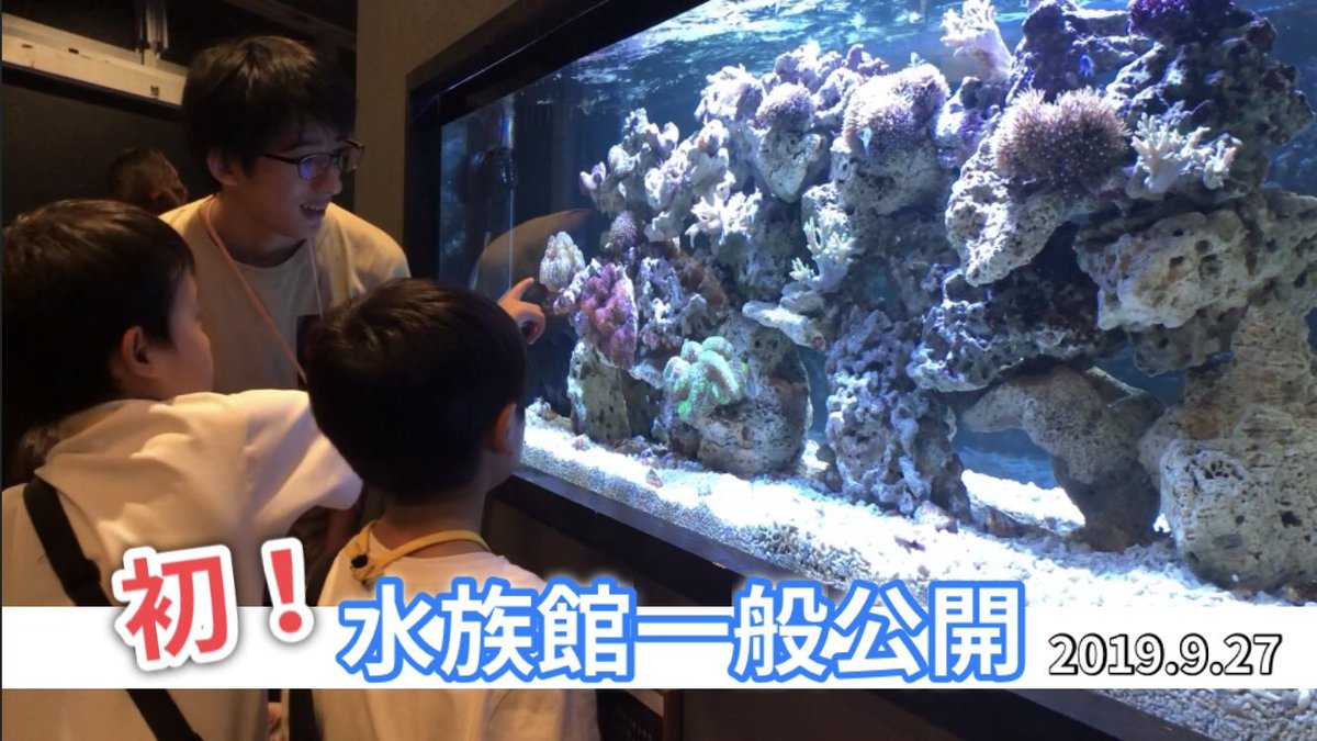 神戸動植物環境専門学校 Sur Twitter 水族館 情報 ついに 神戸学園水族館 Aqua Textが 9月27日に一般公開いたしました なんと その様子をちょっとだけ 特別に見せちゃいます T Co 1bjqcj33e7 神戸学園水族館 東灘区