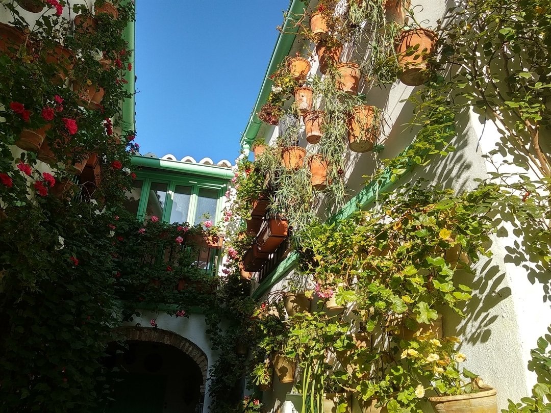 PatioSanBasilio's tweet photo. Siguenos también en @elpatiodelacosturera

#tripadvisor #viajes #viajeros #viajero #viajando #viajar #travel #travelling #traveller #travellers #sitiodondevisitar #lugaresquevisitar #placestovisit #trip #trips #escapadas #vacaciones #holidays #vacances #lugaresconencanto #lugar https://t.co/ZUnvDUh33J