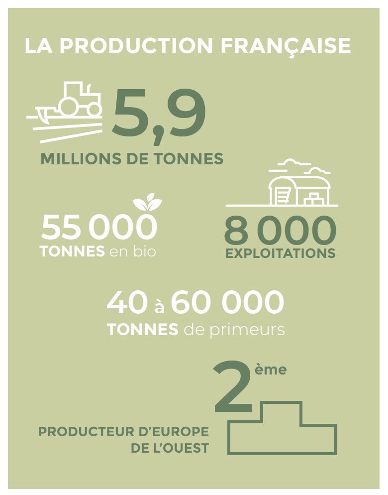 HKParis_'s tweet photo. Du #champ à l’assiette : quelles sont les étapes de récolte des #pommesdeterre ? RPCA est en voyage de #presse dans les #HautsDeFrance, 1ère région productrice française, pour les découvrir avec @_CNIPT. https://t.co/9wssmuBVdT