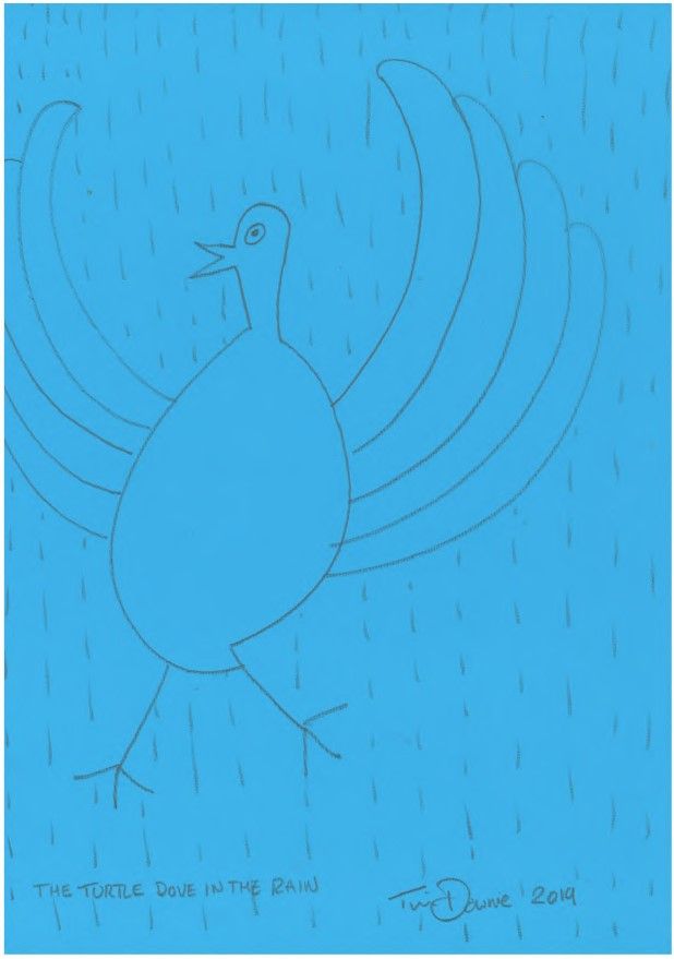 NorthYorkMoors's tweet photo. Last chance to bid for celebrity Doodle a Doves and support the #TurtleDoveProject! Thank you to @ruthmillar @kiransawar @dudgeon_neil @TimDownie1 @patrick_barkham for donating artworks. Don't miss out, place your bids before 3pm! @ForestryEngland https://t.co/ogcLjAqRDB https://t.co/u7hqYBs5T5