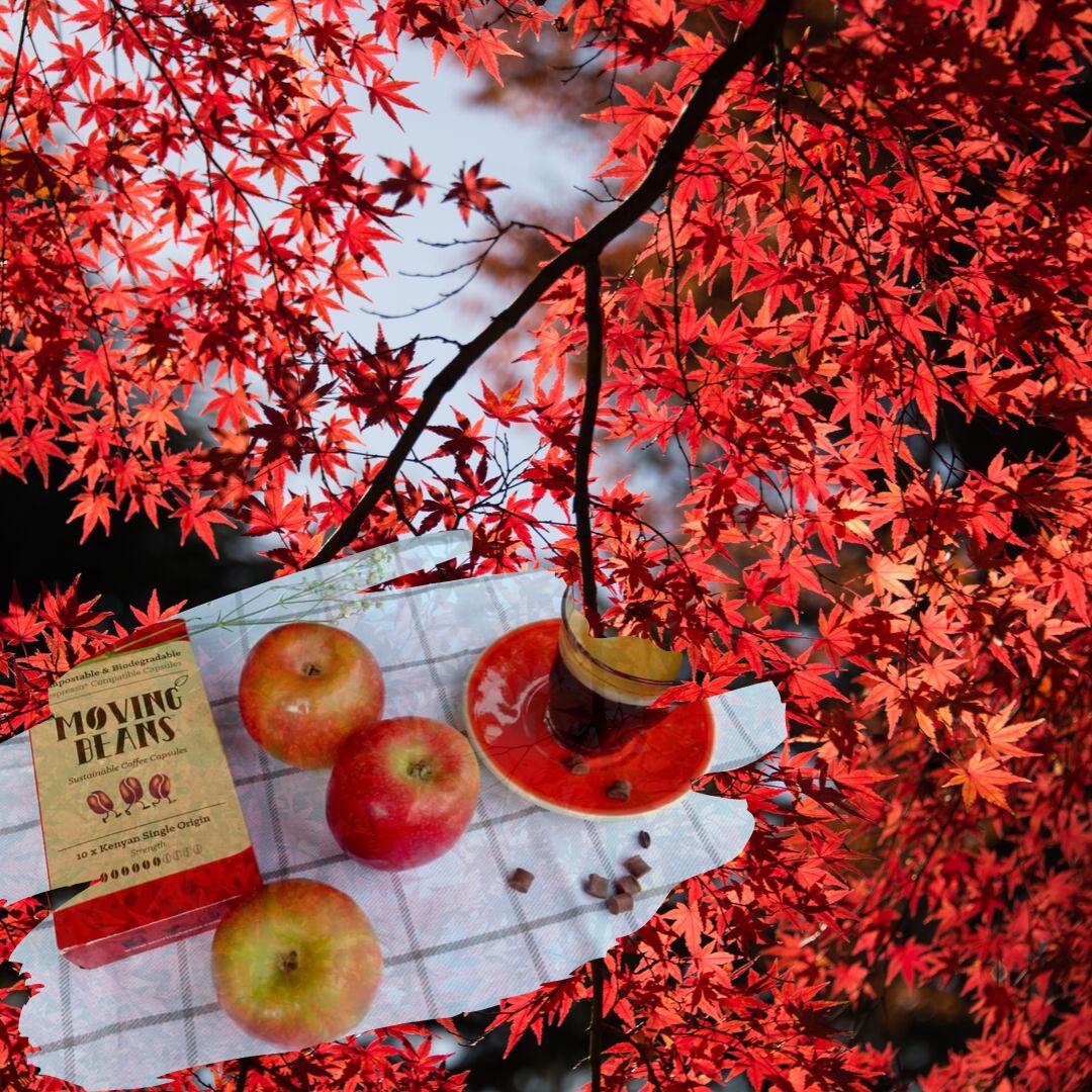 movingbeansco's tweet image. Warmly red. Kenya Single Origin. ❤️🌹🌶

#coffeecapsules #coffeepods #mymovingbeans #movingbeans  #sustainablecoffeecapsule #biodegradable #compostable #ecofriendly #greenlifestyle #environmentalfriendly