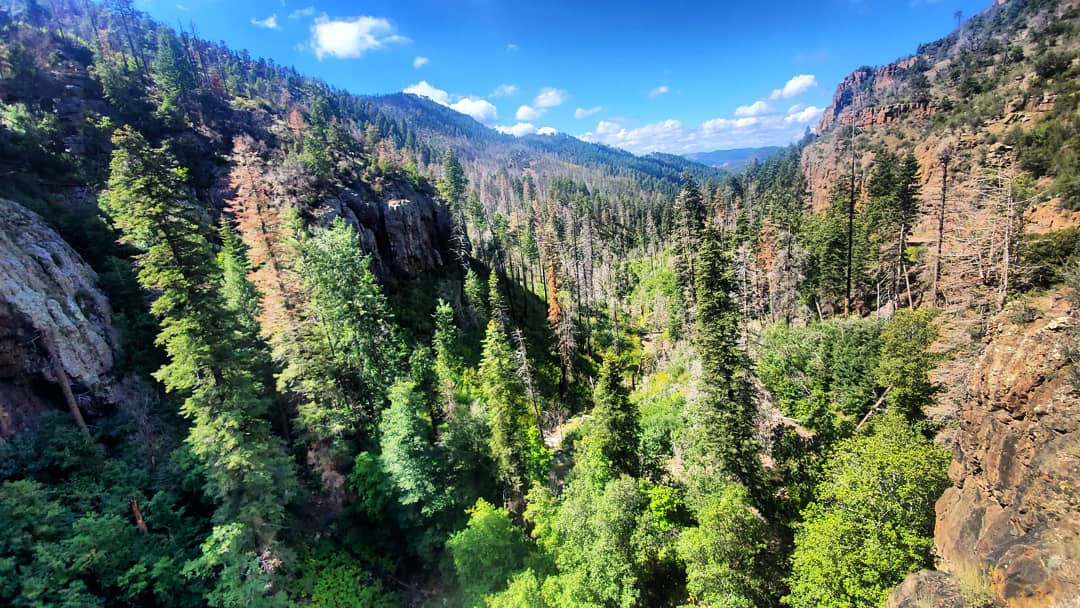 xploring_trails's tweet photo. There is nothing like being above the trees.
#exploringtrails #landscape #wilderness #outdoors #livebravely #arizona #clouds #forest #workmancreek #mountainviews #weroamarizona #naturalarizona #lovewhereyoulive #arizonahighways #photography #canyon #southwest #weekendwarriors https://t.co/RI7K8FxzD2