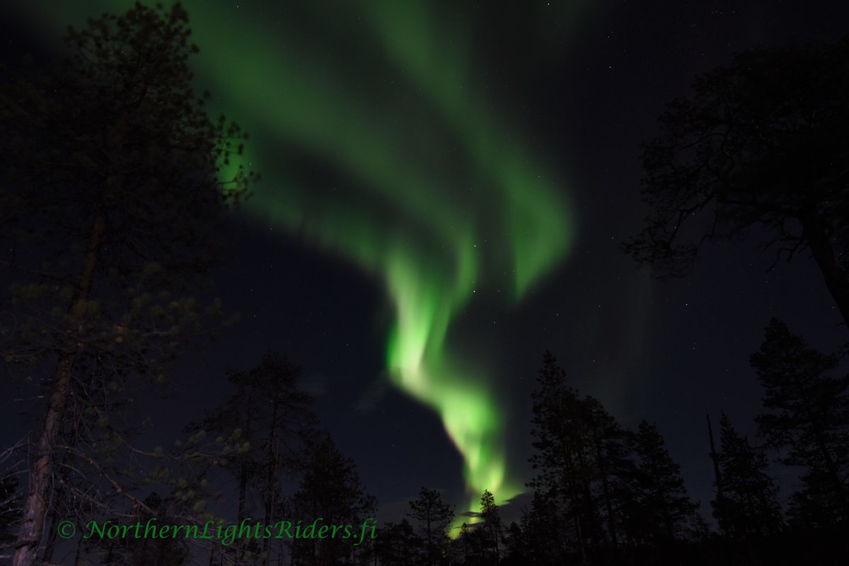 LightsInari's tweet photo. Today we have aurora huntig. Still few seats left. Welcome to our tour! 
#northernlightssafari #northernlightsphotos #northernlightstours  #auroratour #auroraivalo #aurorasafari #auroraborealis #dancingaurora #northernlights https://t.co/mE7HiRGS6d