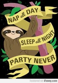 ellelljaytoo's tweet image. Oh my - you have outdone yourselves!!

#SlothOn #SlothiansUnite