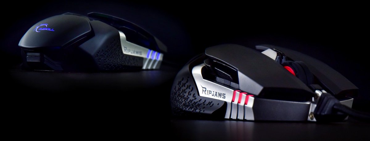 gskillgaming's tweet image. What are your favorite features of a mouse? RGB, DPI settings, Programmable buttons, Wireless, or something others?

#RGBMouse
#ProgrammableButtons
#GamingMouse
#Wireless
#DPI