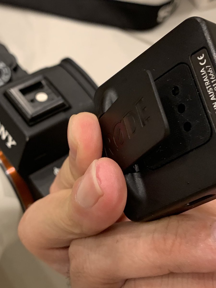 ys_kitchen's tweet image. そうそうRODE Wireless Goは
どうやって受信機側をカメラに載せるの？という疑問あると思うんですが、
クリップがそのまま、アクセサリーシューに付きます（爆）
これはこれで便利ですよね

#RODE 
#rodewirelessgo