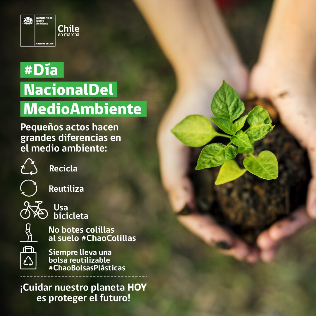 Hoy en el #DíaNacionalDelMedioAmbiente la invitación es a generar pequeños actos que generan grande diferencias en el medio ambiente:
♻️Recuperar
♻️Reciclar
♻️Reparar
♻️Renovar
♻️Rechazar
♻️Repensar
♻️Reutilizar
♻️Rediseñar
¡Cuidar nuestro planeta 🌎 HOY es proteger el futuro!