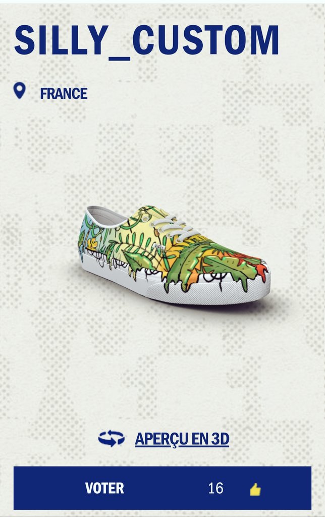 custom vans france