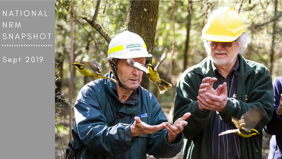 NRMRegions's tweet photo. In this edition of the national #NRM monthly summary, we're focusing on all things #biodiversity, in recognition of September's biodiversity month #1000soflocalsolutions https://t.co/GAxy9dmSrC https://t.co/JXmld543zy
