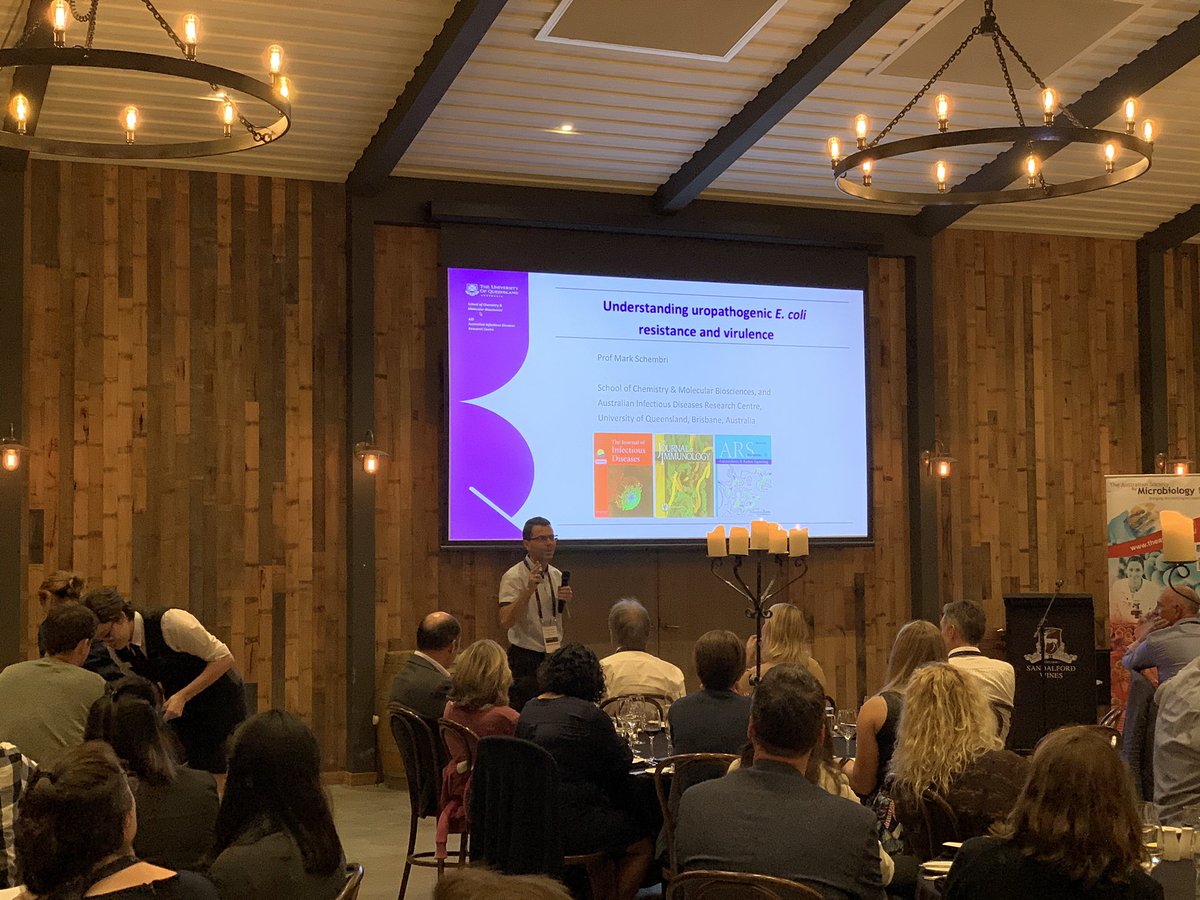 RhysTWhite's tweet photo. Finallyโผ๏ธ Prof. Mark Schembri from @LabSchembri presenting his #research into uropathogenic E. coli - #AntibioticResistance & #virulence at the @AUSSOCMIC #BacPath15 Oration. #ST131 is the most successful E. coli clone ever seen - we are trying to find out whyโผ๏ธ https://t.co/pb8MhOvGTL