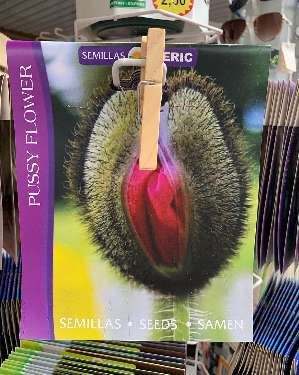 DansPlot's tweet image. Always an interesting selection of seeds when you’re on holiday 🤔🤔🤦🏻‍♂️ #tittymelon
