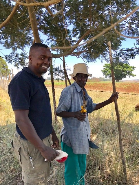 NationalCoGTA's tweet image. Thus far, the project has created permanent and temporary jobs.

#cogta #communalfarming #landbouw