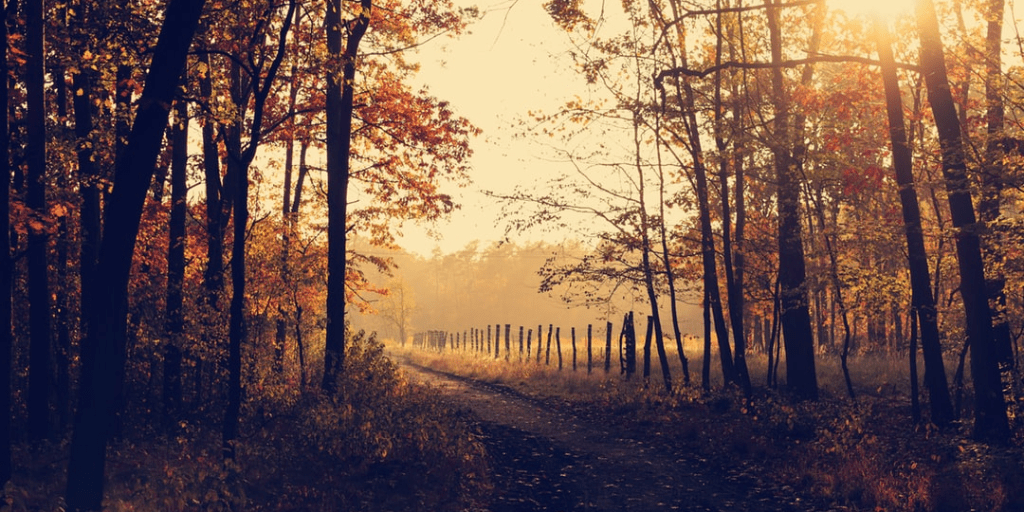 *NEW POST* Blogtober Day 2: What October Means To Me theunbalancingact.com/lifestyle/blog…