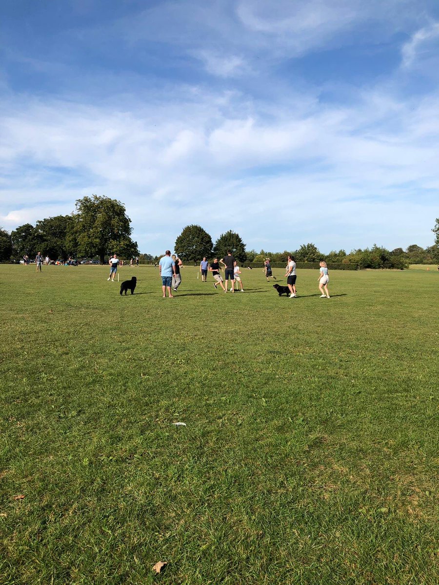 all about dogs hylands park